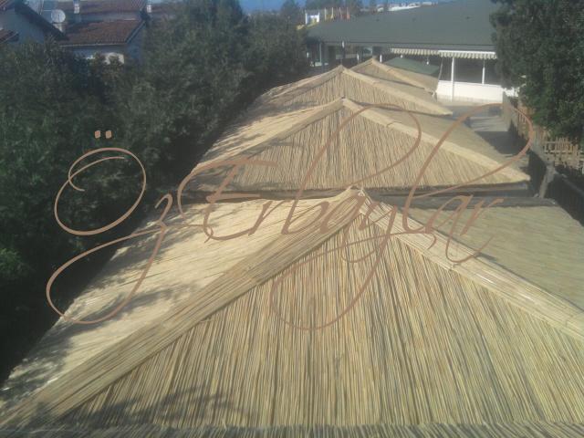 Kamış Çatı