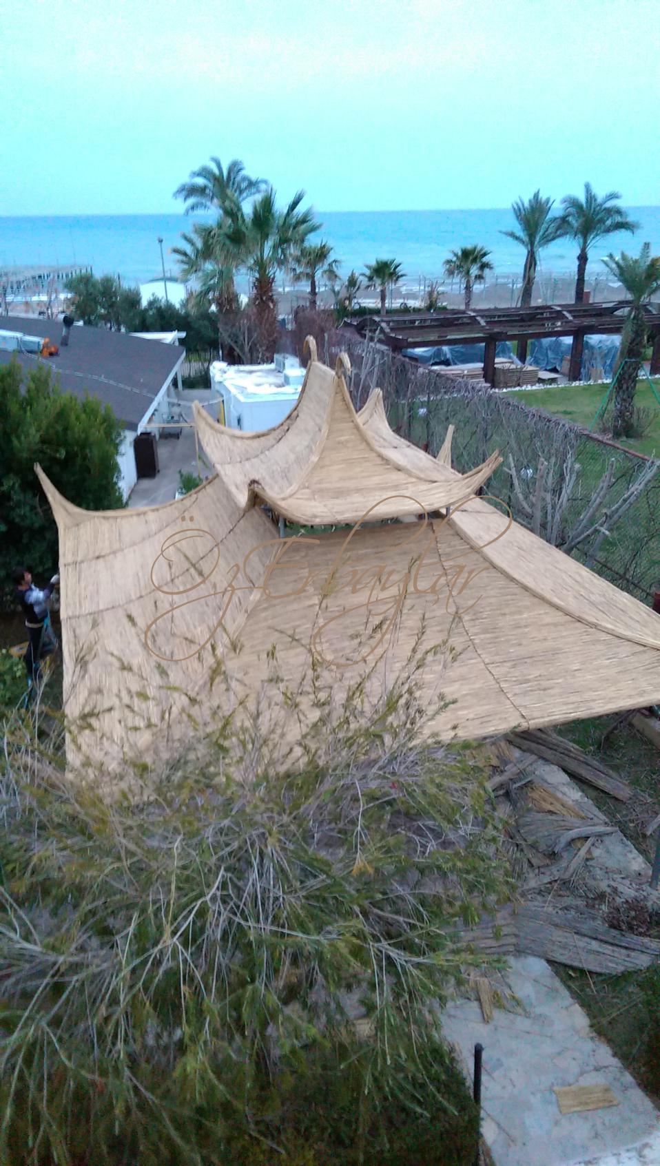 Kamış Çatı