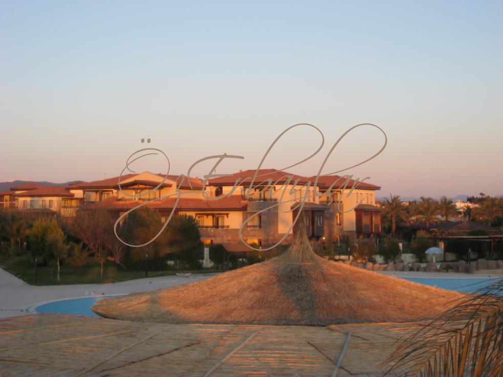 Kamış Çatı