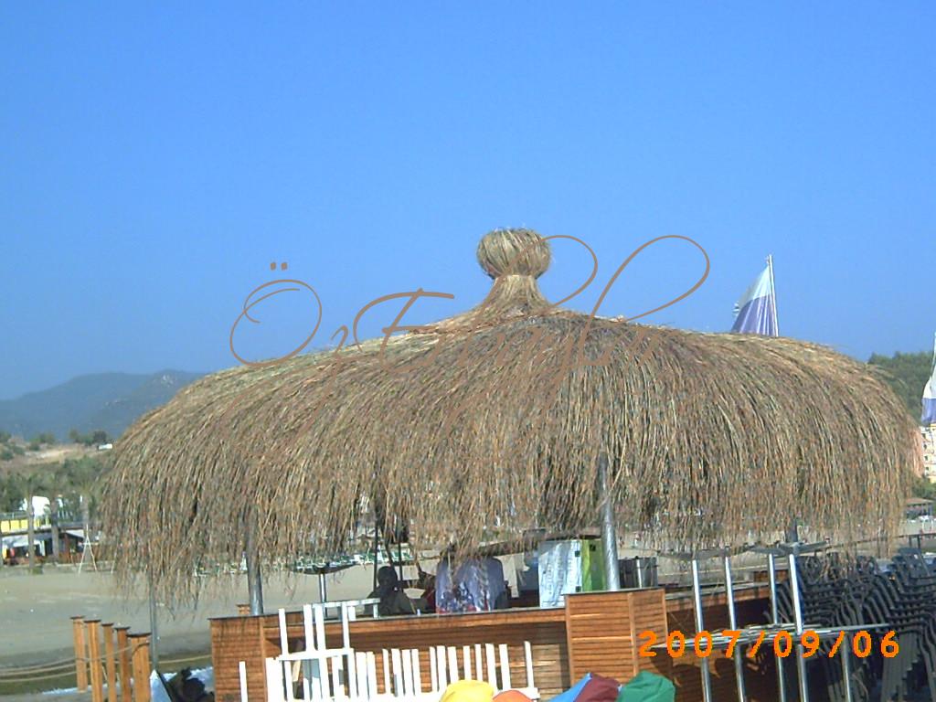 Saz Çatı