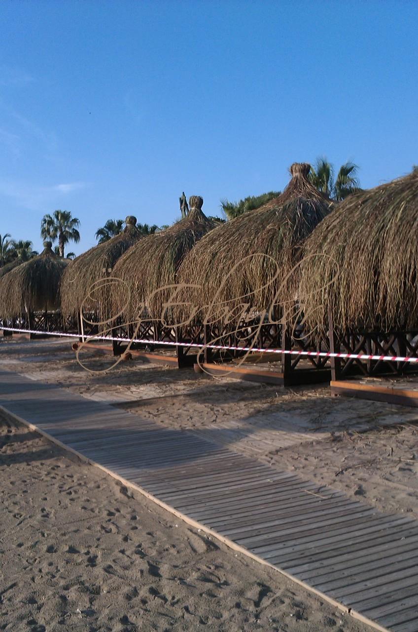 Saz Çatı