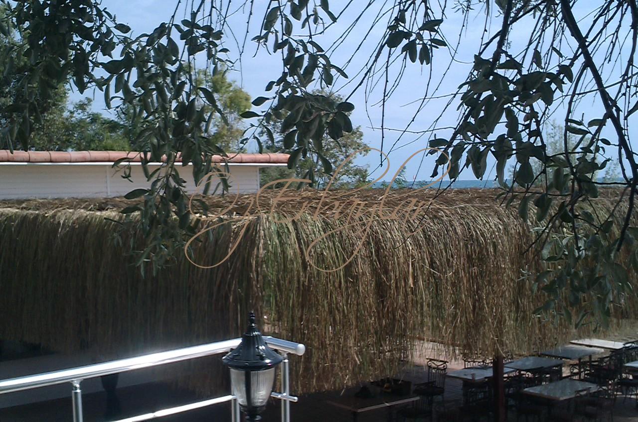 Saz Çatı