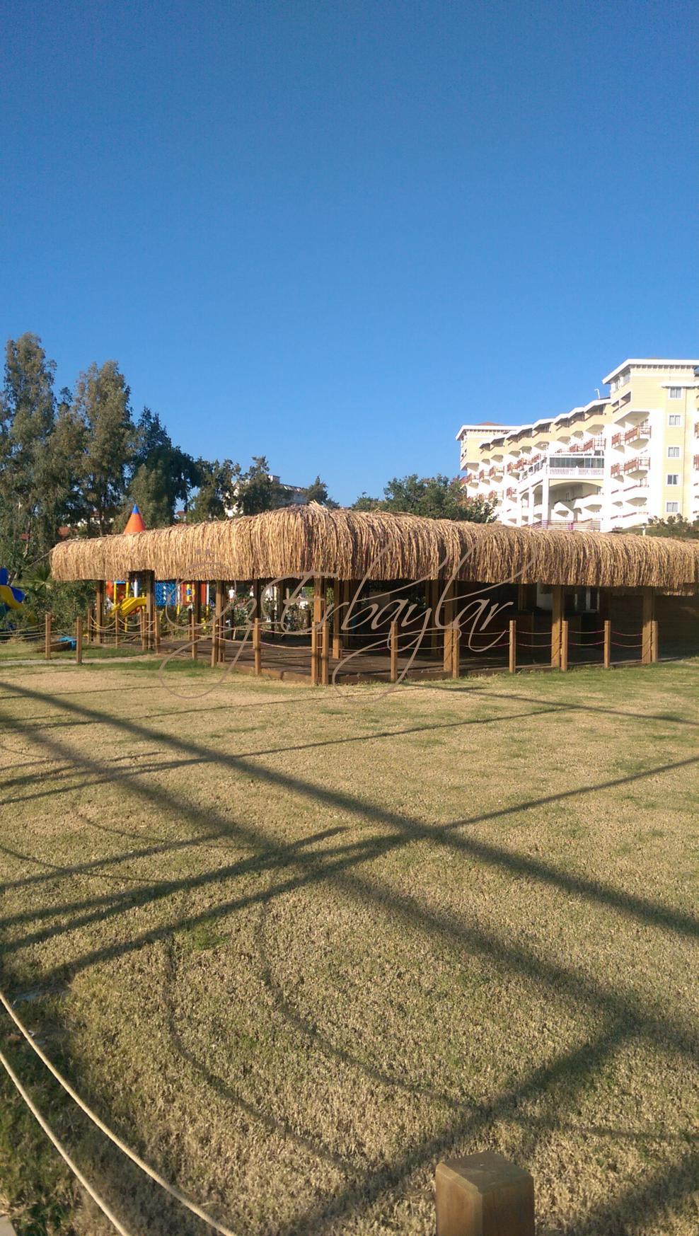 Saz Çatı